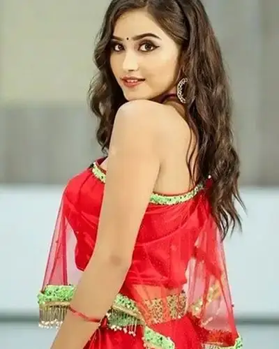 Call Girls Service Bavla